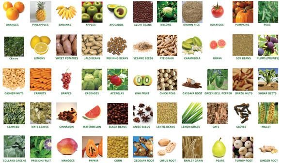 prebiotics ingredients